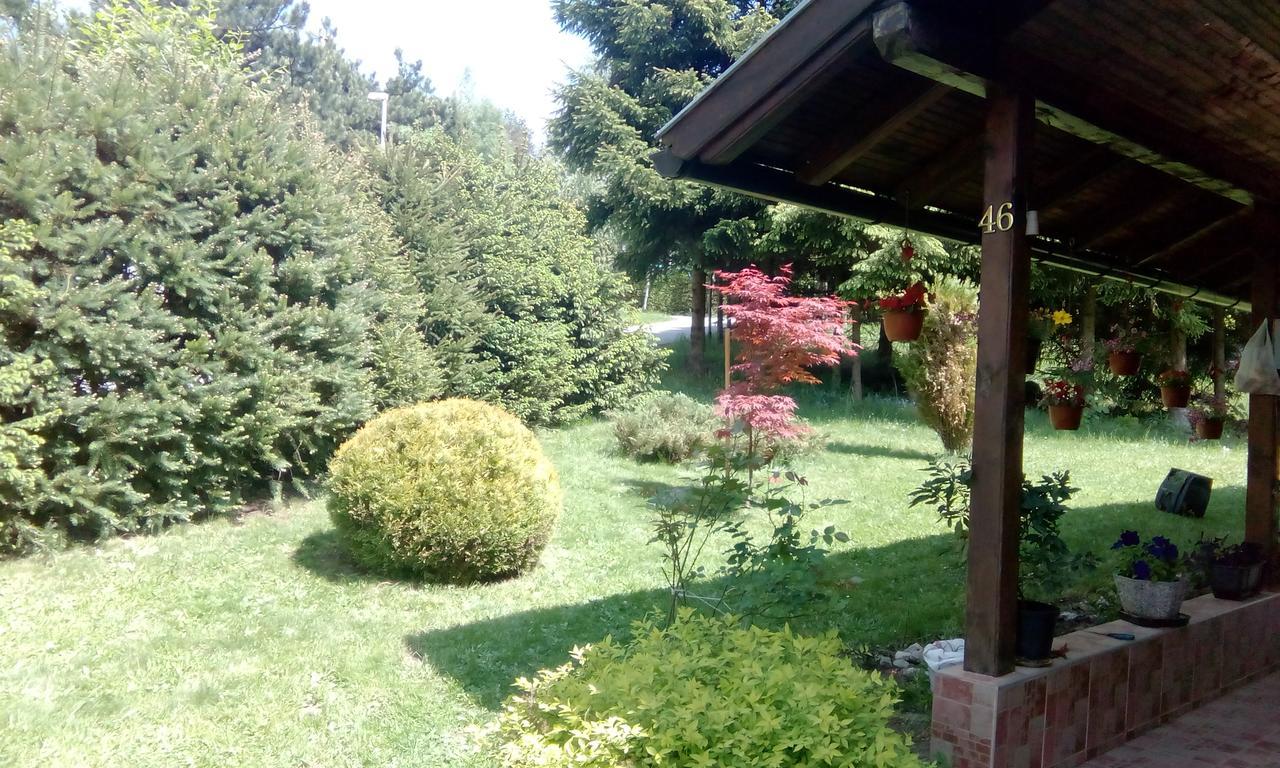 Apartmani Nais Zlatibor Eksteriør billede